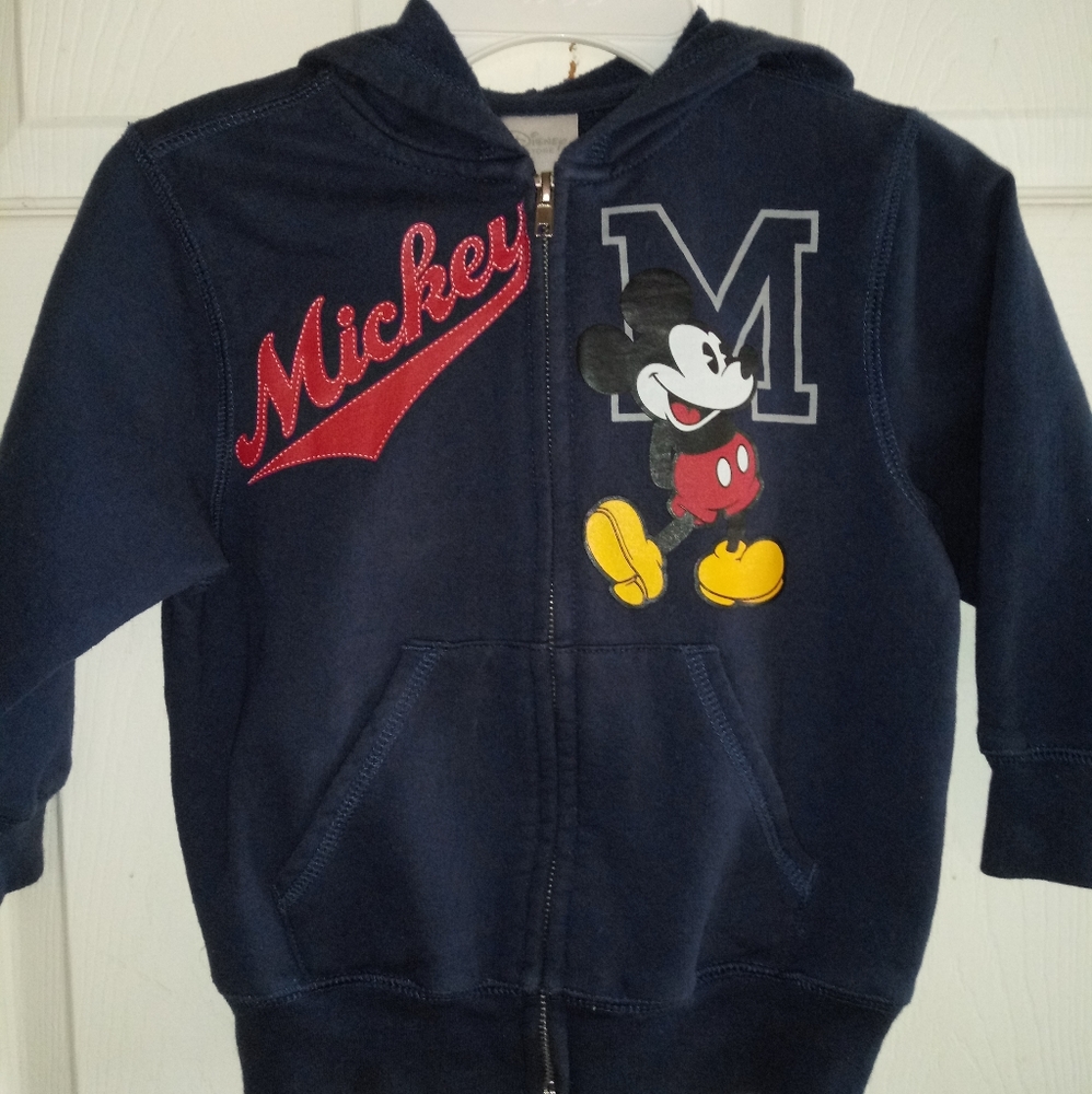 Disney Zip up Hoodie